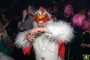 Thumbs/tn_Animal Party 333.jpg